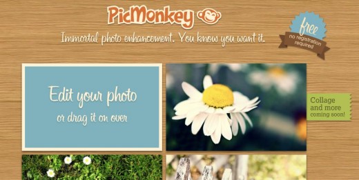 PicMonkey 520x261 Google suggests PicMonkey as a Picnik replacement, and it was created by the same people
