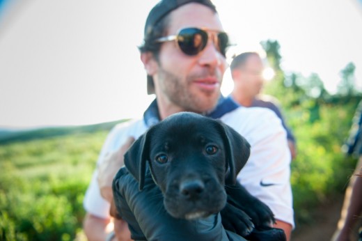 9 puppies were adopted from a local shelter 520x346 Entrepreneurs gather in Eden for the first Summit Outside