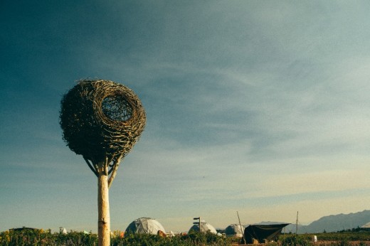 nest by hannes wingate 520x346 Entrepreneurs gather in Eden for the first Summit Outside
