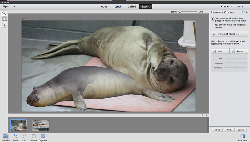 Adobe photoshop elements 6 upgrade mac